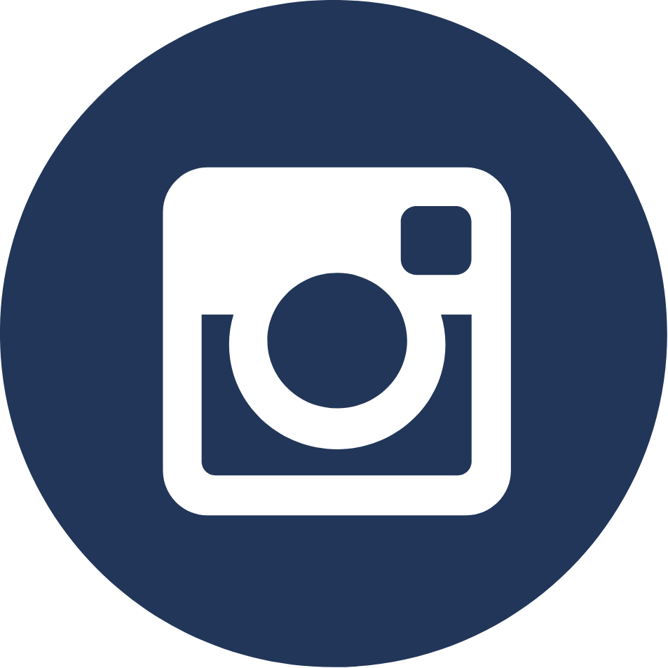 icone-instagram